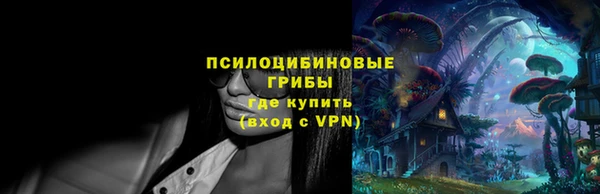 бутират Горнозаводск