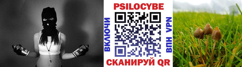 сайты даркнета формула  Плёс  Галлюциногенные грибы GOLDEN TEACHER 